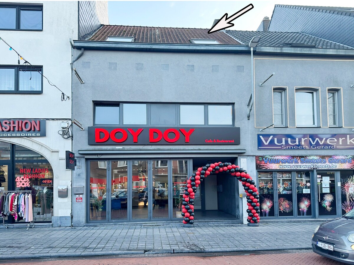 Gerieflijk appartement met 2 slaapkamers in Maasmechelen, gerenoveerd in 2012, EPC B 