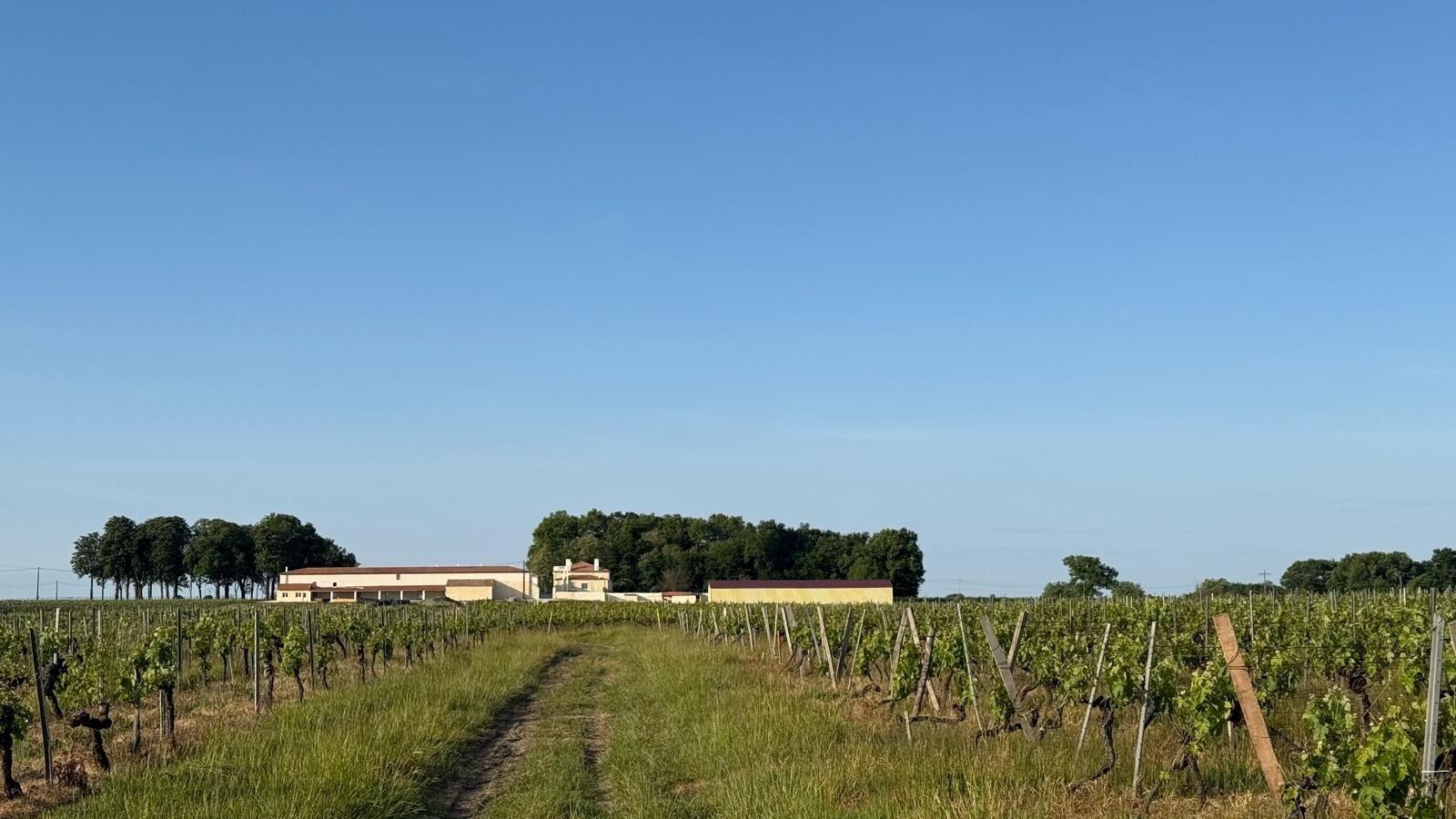 Chateau Les Chaumes - nabij Bordeaux (Frankrijk), Wijndomein met Restaurant en Hotel. 23 ha. 