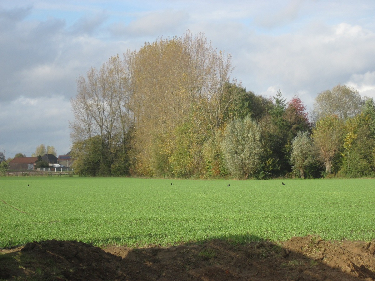 Splinternieuw ruim gelijkvloers appartement. 