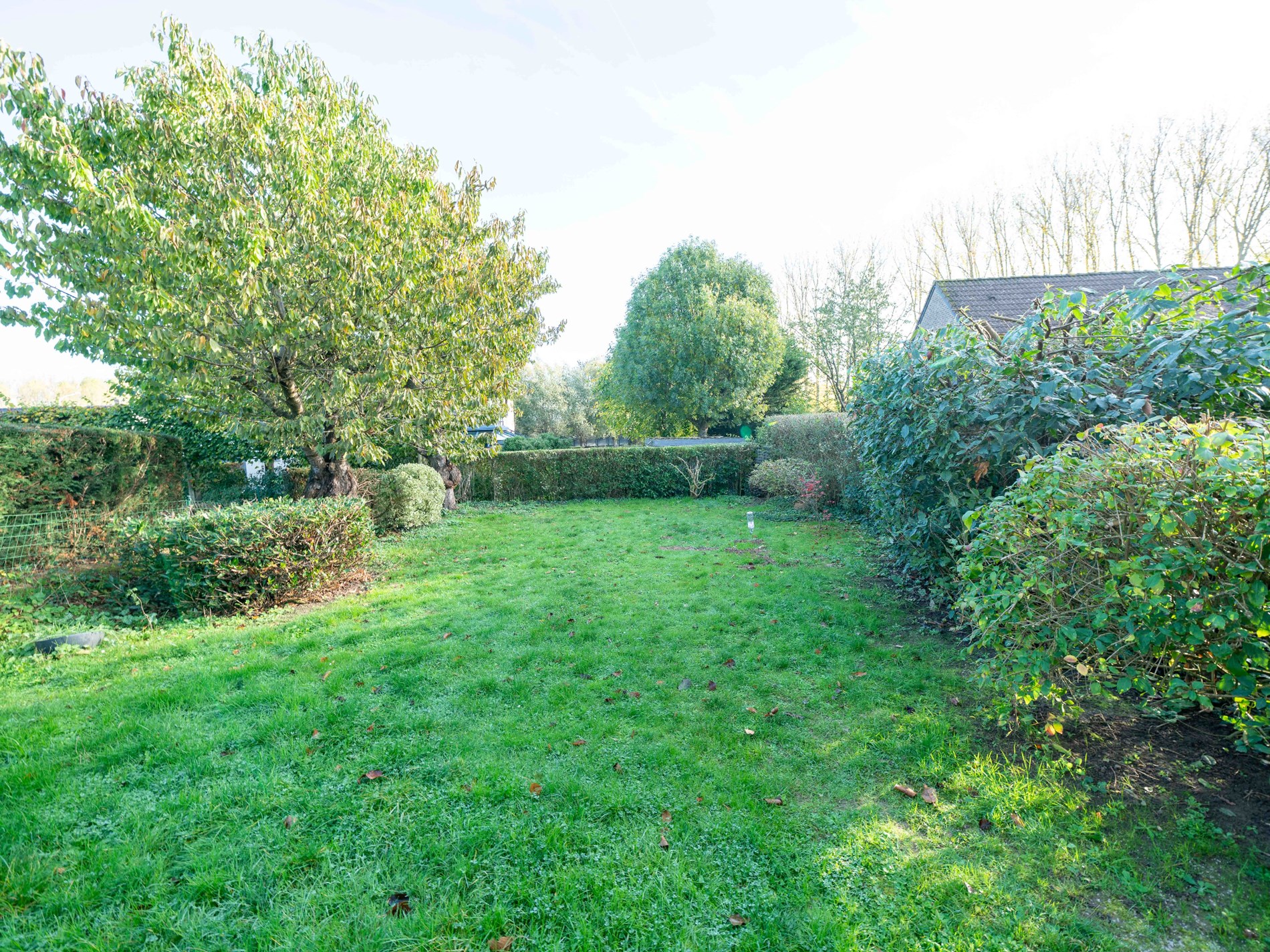 Zéér ruime energiezuinige woning met 4 kamers en bureau 