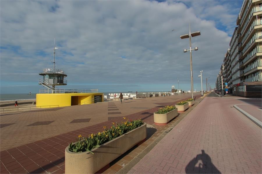 Studio central avec terrasse avec vue sur mer! 