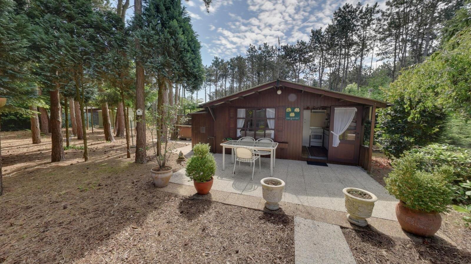 Prachtig stuk bosgrond 