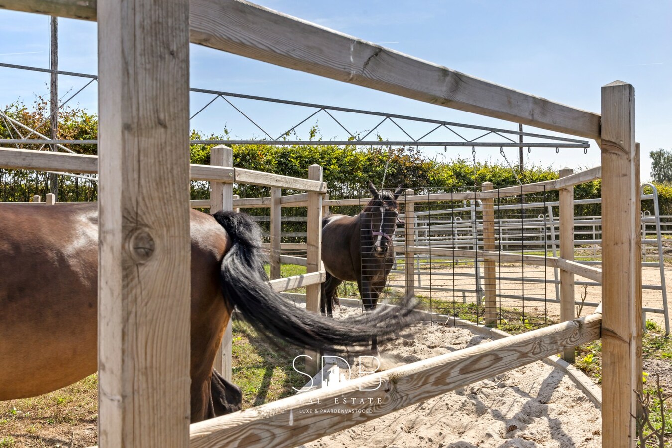 Prachtige landelijke woning met hippische accommodatie op 2,5hectare 