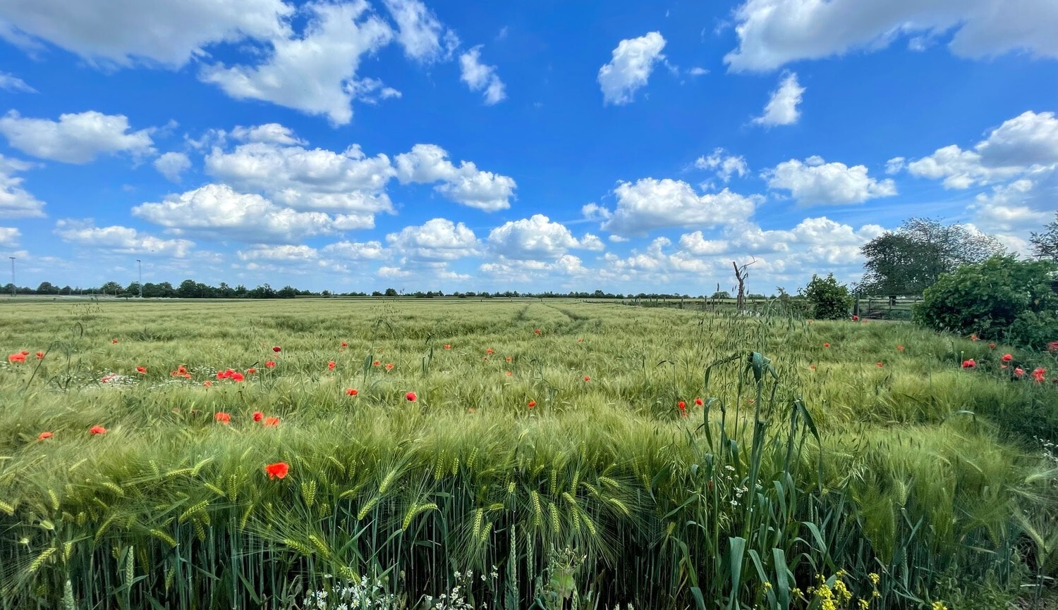 Royale, rustig gelegen bungalow op 2505 m² vlakbij Maastricht 