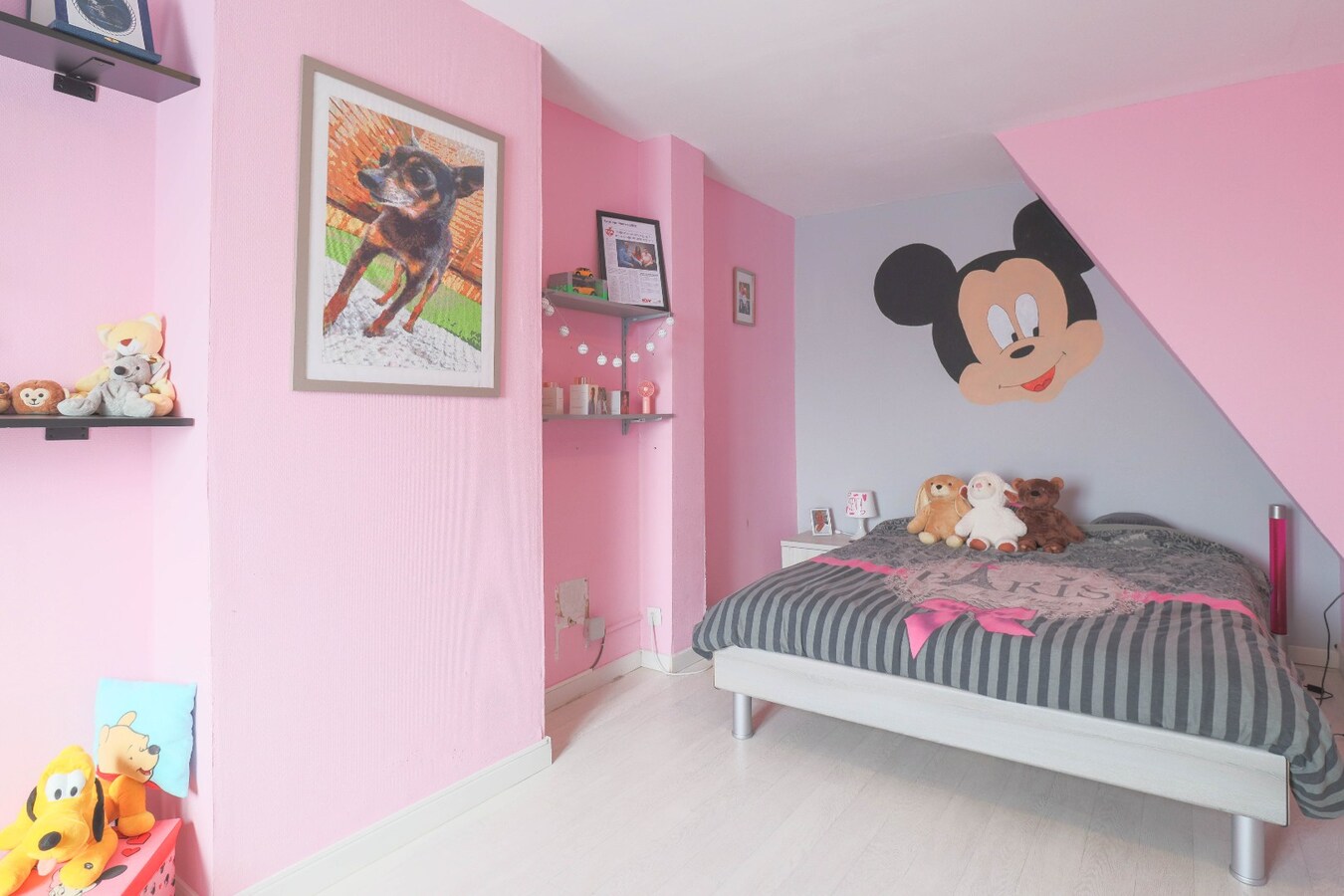 Ruime en recent gerenoveerde gezinswoning met garage te koop ! 
