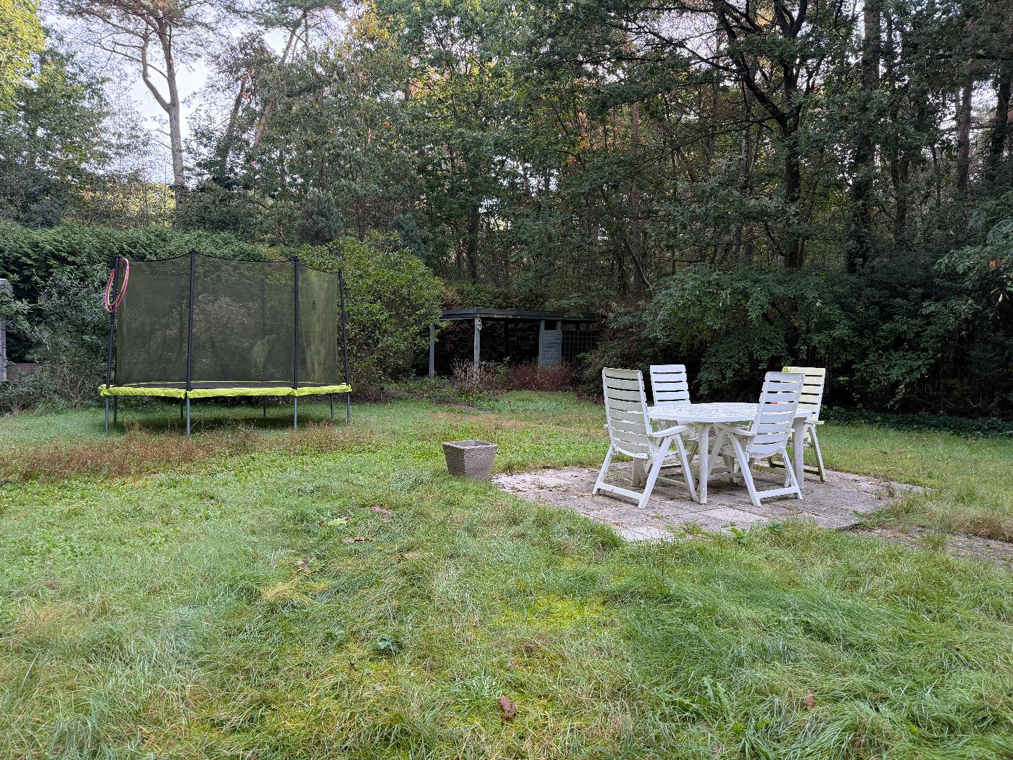 Rustig wonen midden in de bossen op een perceel van 2.005 m² in Schilde 