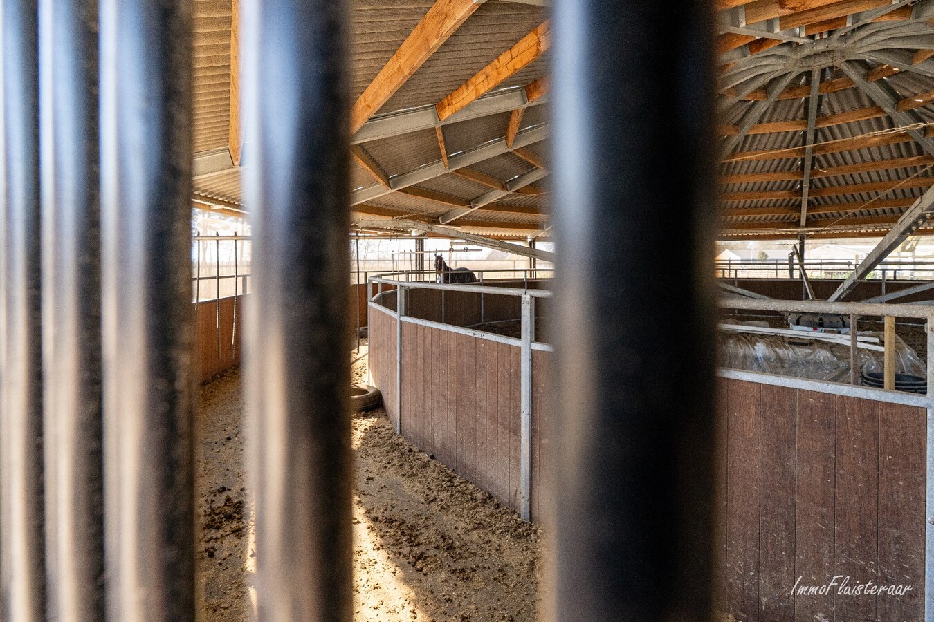 Complete paardenaccommodatie met studio op ca. 1,1ha te Bree 