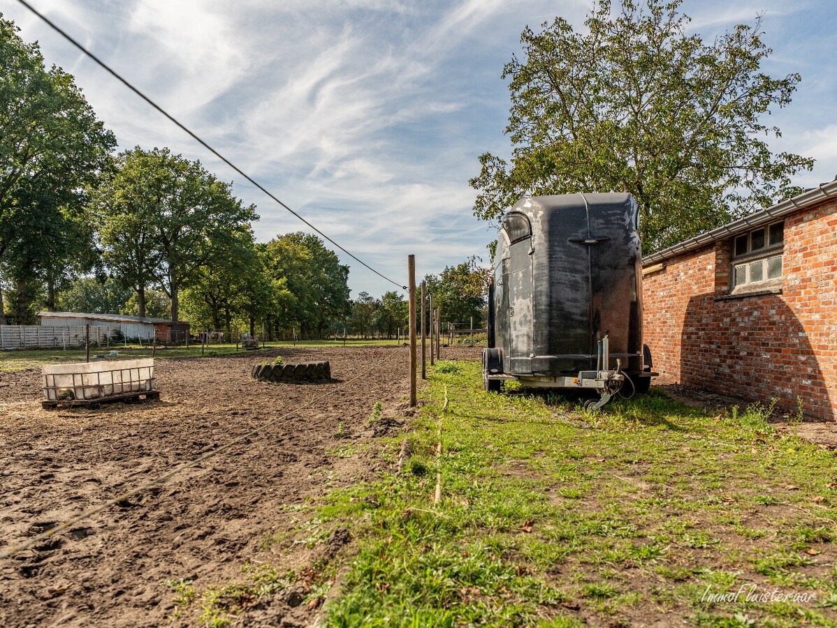 Gerenoveerde woning met praktijkruimte en paardenstal op 9.019 m2 te Balen 