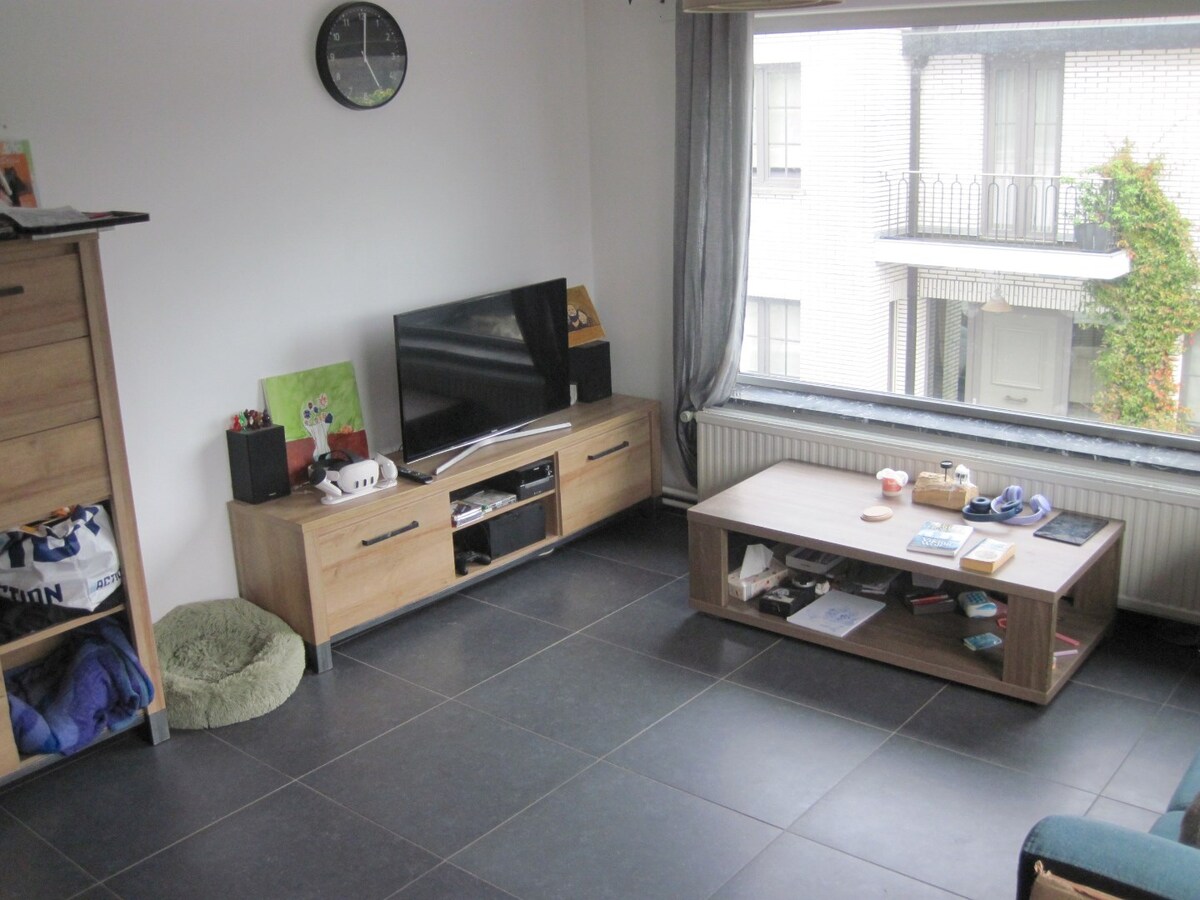 Lichtrijk appartement in Zingem 