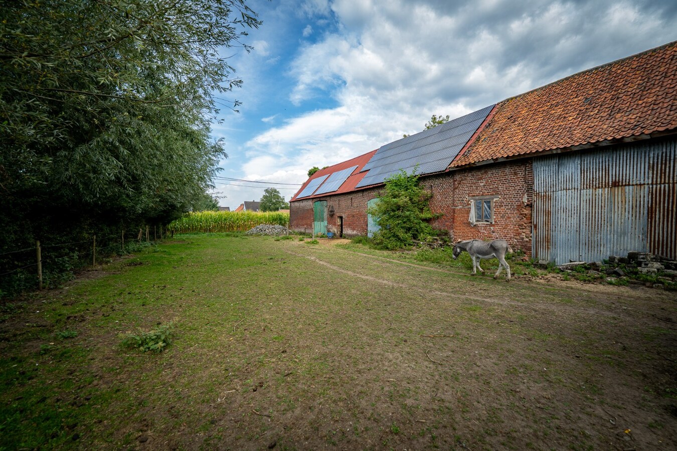 Charmante hoeve met weiland op 4.029 m² 