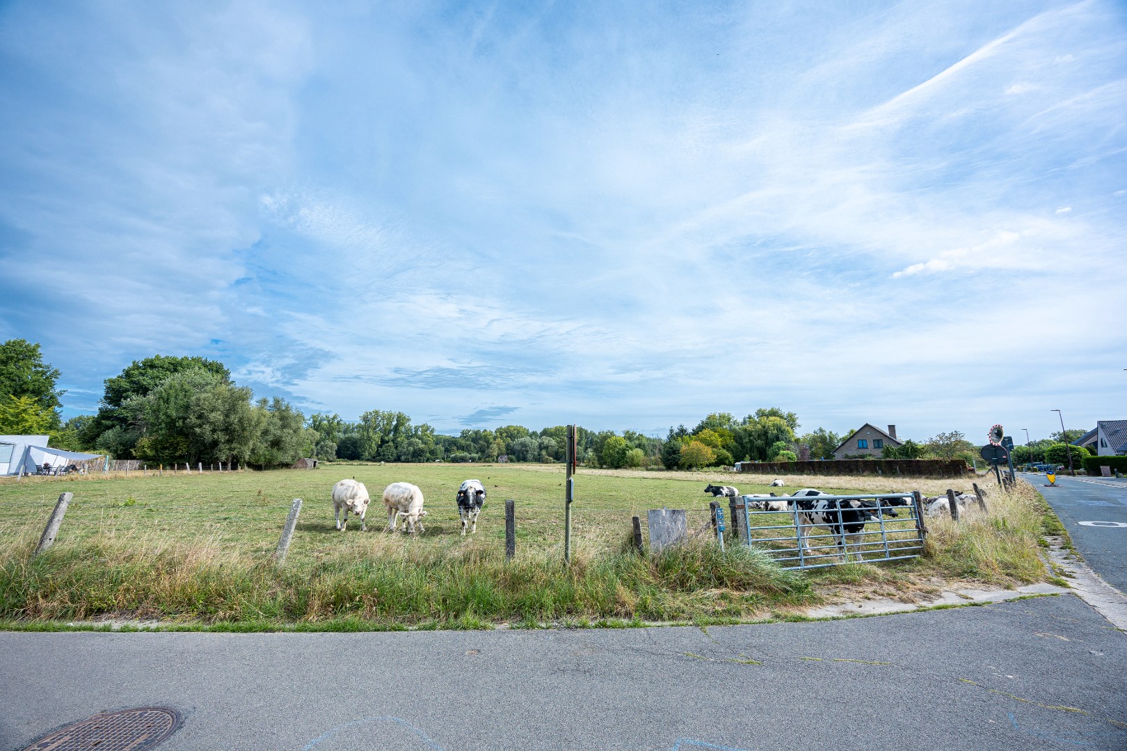 Instapklare woning met tuin, oprit en groene ligging te Sint-Katherina-Lombeek 