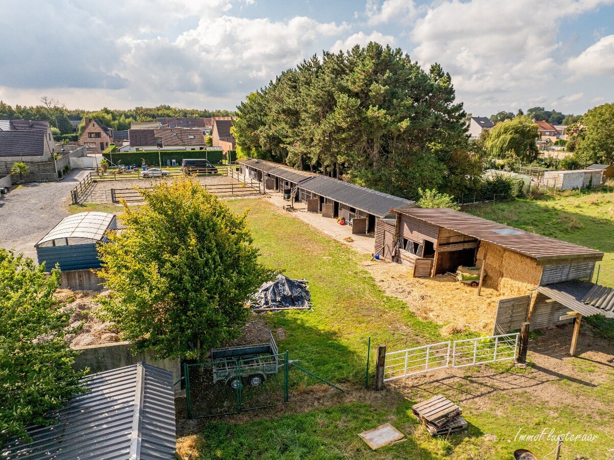 Charmante woning met stallen, buitenpiste en weide  op ca. 2 ha te OUDENBURG 