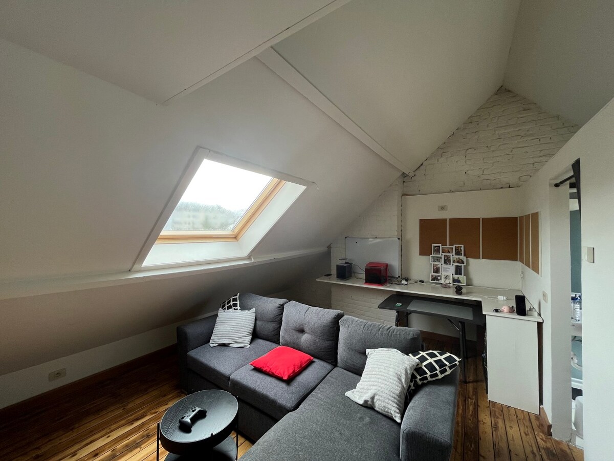 Gezellige duplex nabij 't Zuid - DOMICILIE VERPLICHT ( geen studenten ! ) 