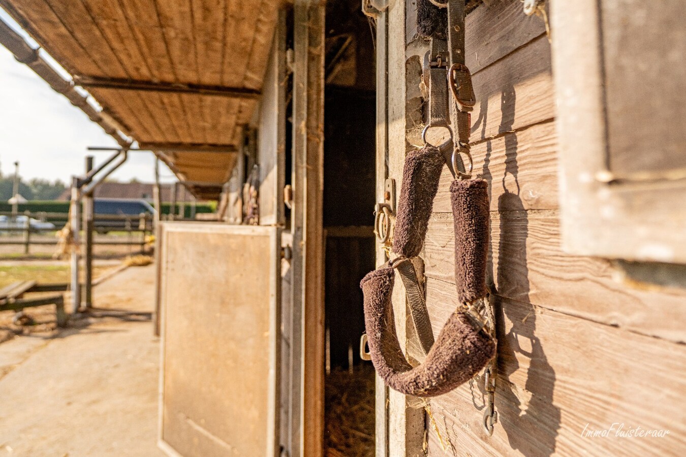 Charmante woning met stallen, buitenpiste en weide  op ca. 2 ha te OUDENBURG 
