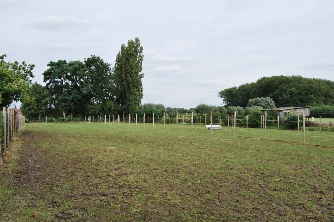 Instapklare woning met 2 stallen op ca.4000m² te Lebbeke 