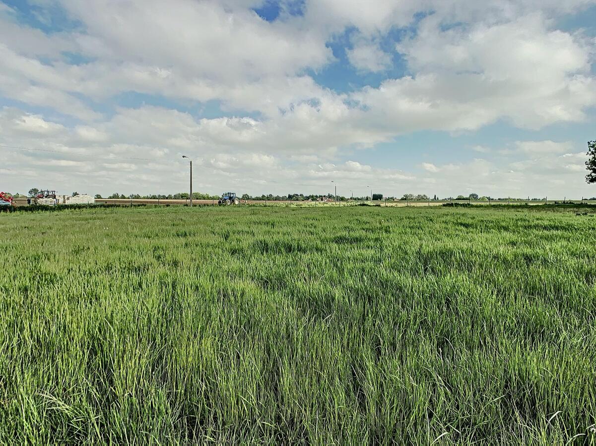 Exclusieve villa te huur in Kruishoutem 