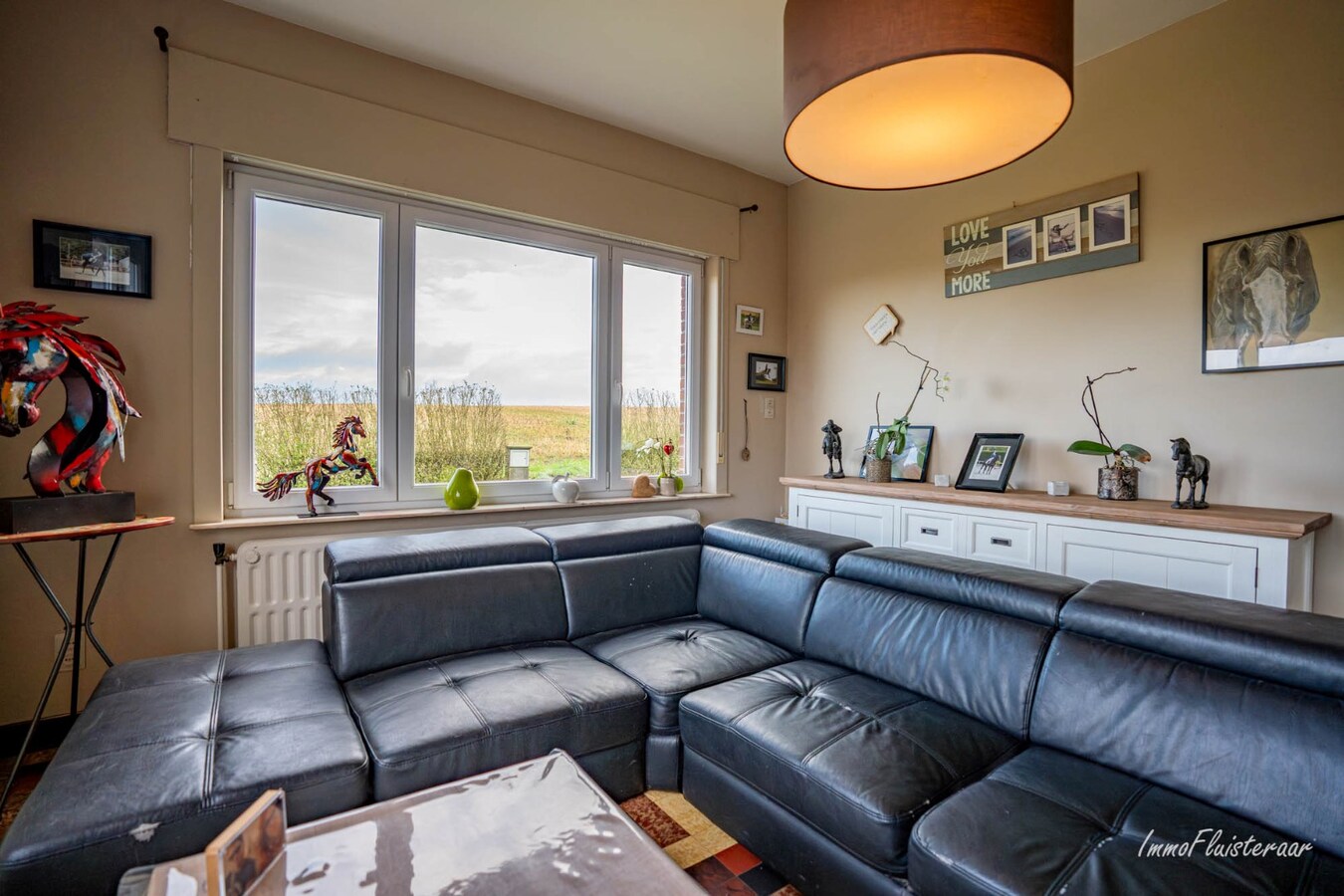 Magnifique complexe équestre avec maison d'entreprise, environ 33 écuries et une piste intérieure sur plus de 5,6 hectares à Bever (Brabant flamand). 