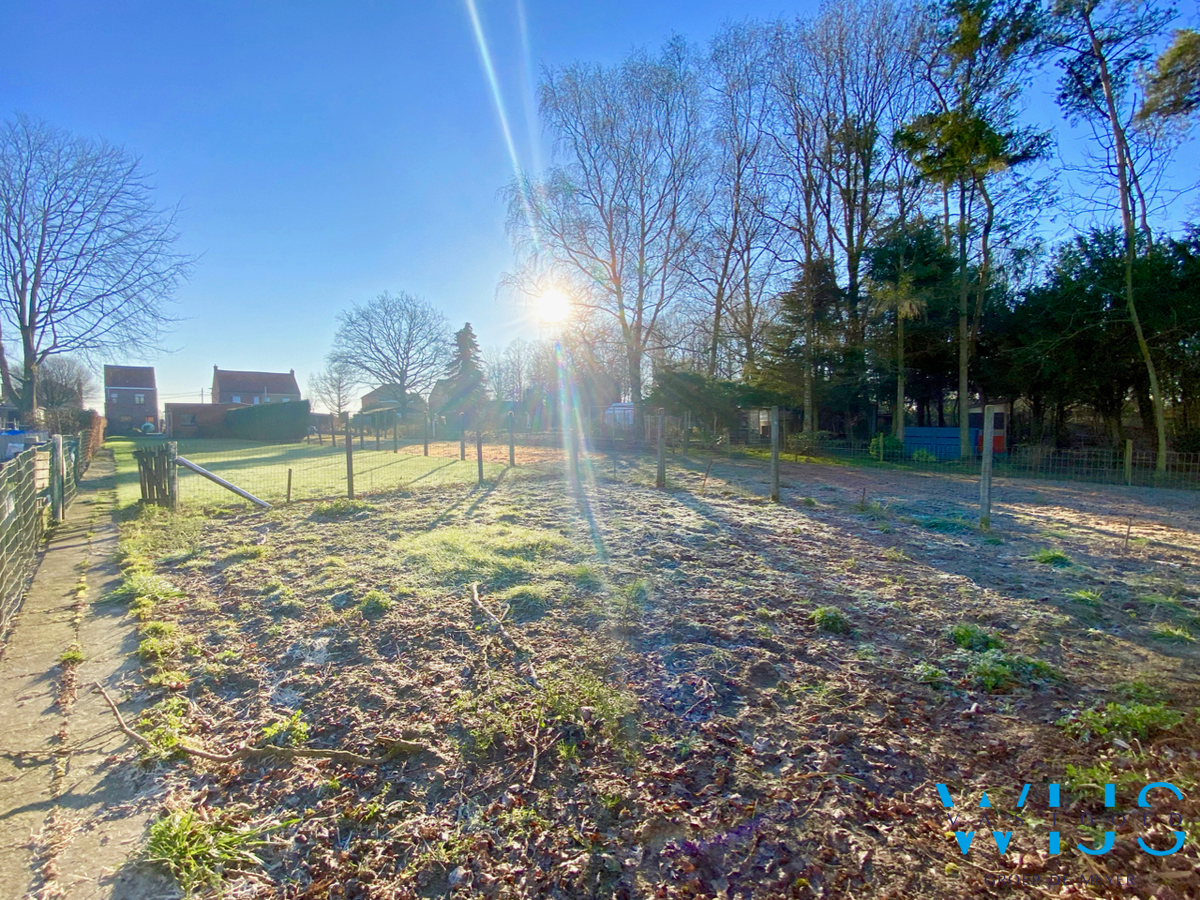 Tof gezellig woonhuis op een prachtig ruim perceel te Boekhoute ! 