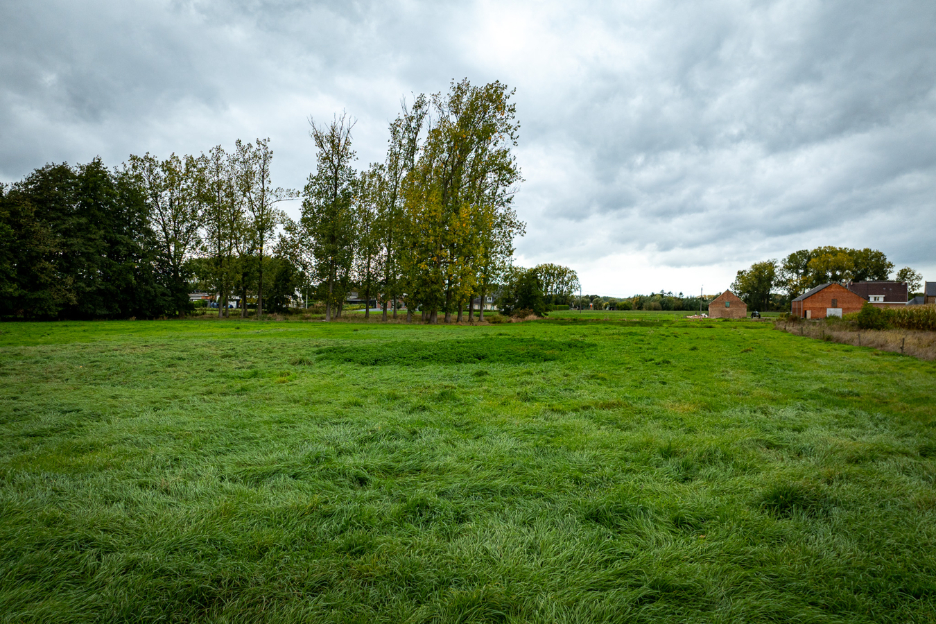 Landelijk gelegen eigendom met uitzonderlijk ruime bijgebouwen op een perceel van ca. 2,02 ha in Puurs-Sint-Amands BEZOEKDAG OP 14 NOVEMBER VAN 10U TOT 14U OP AFSPRAAK 