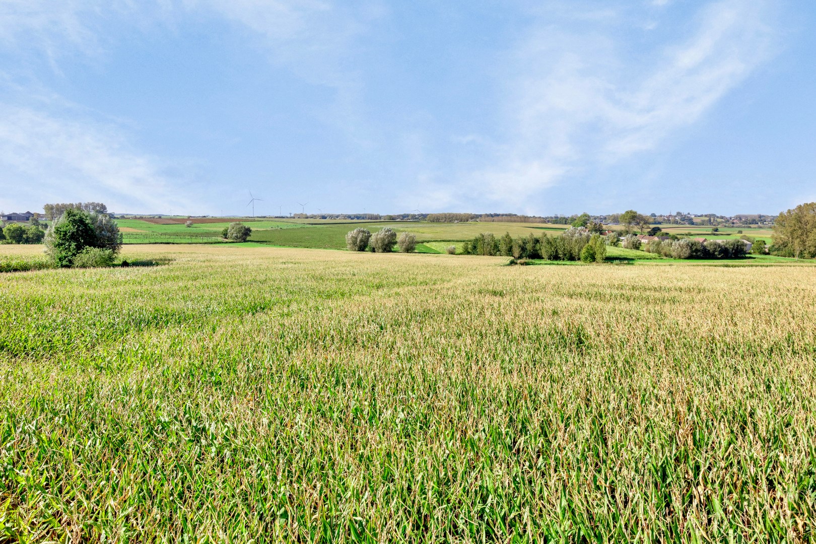 Bouwgrond (HOB) op 4a 97ca met uniek vergezicht op agrarisch landschap 