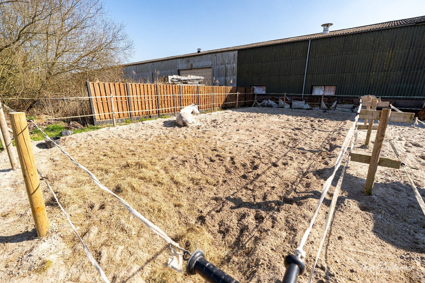 Complete paardenaccommodatie met studio op ca. 1,1ha te Bree 