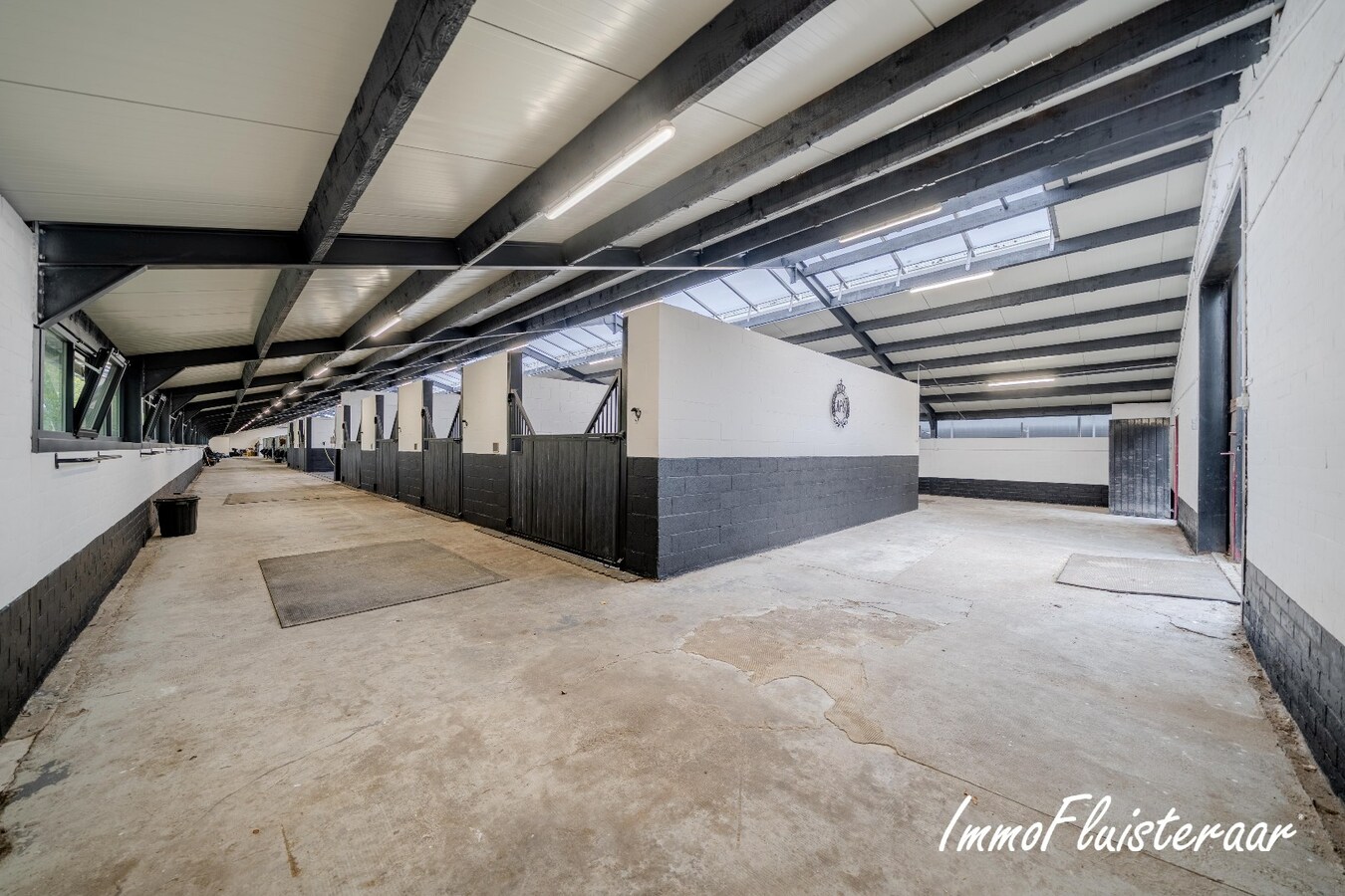 Exclusief Hippisch Complex met Uitstekende Trainingsmogelijkheden op ca 8,6 ha in Wuustwezel 