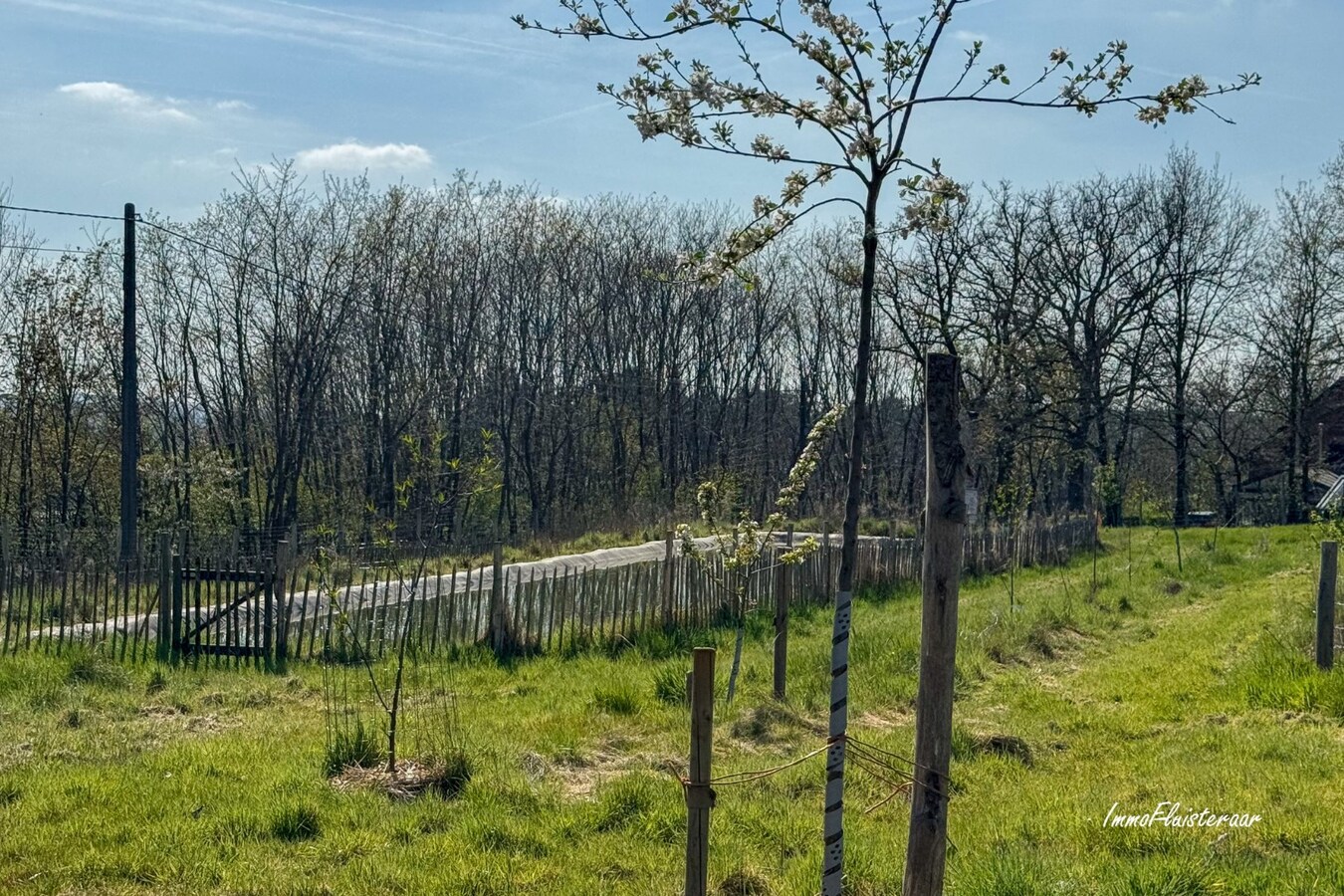 Champ de 90 ares à Tielt-Winge 