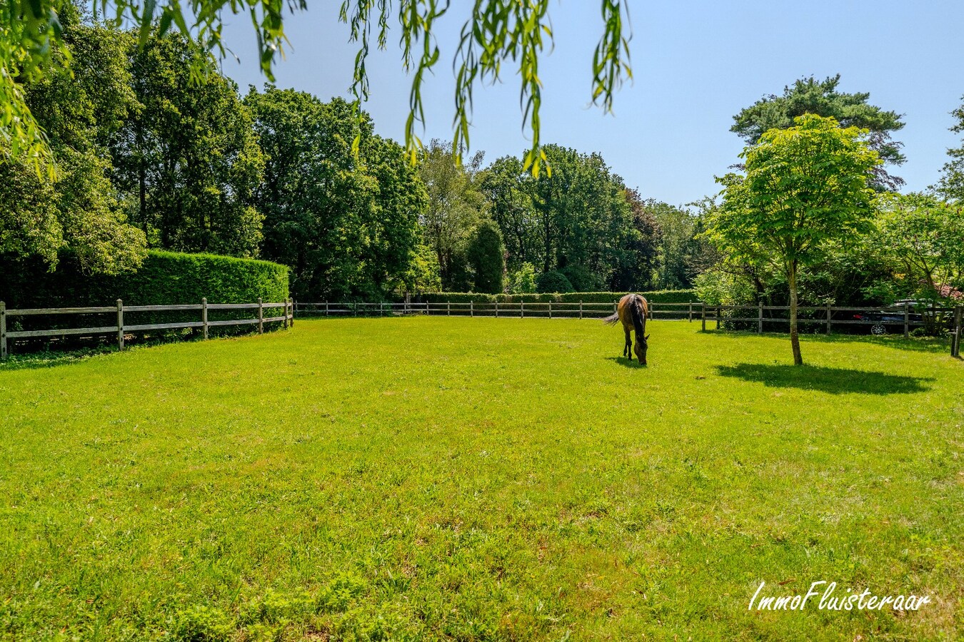 Exclusief eigendom met twee volwaardige, zelfstandige villa-woningen, een conciërgeverblijf en luxueuze paardenfaciliteiten op ruim 2 ha te Brasschaat 