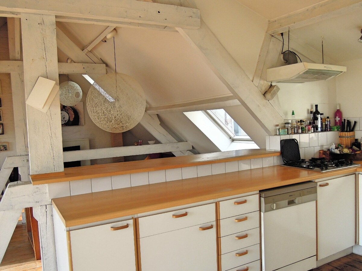 Stijlvol en licht dakappartement van 125 m² in hartje Antwerpen 