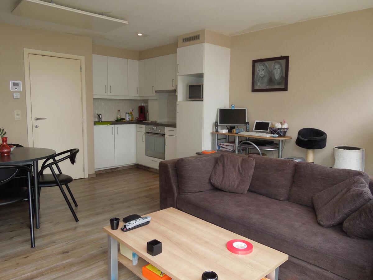 Gezellig 1-slaapkamertype te Middelkerke 