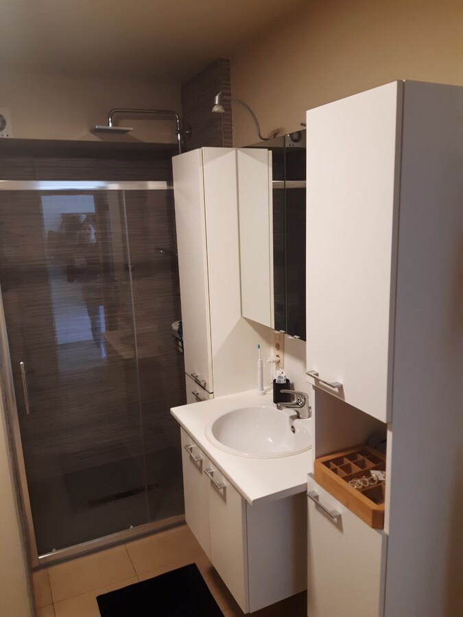 Lichtrijk dakappartement (geen vaste kosten). 