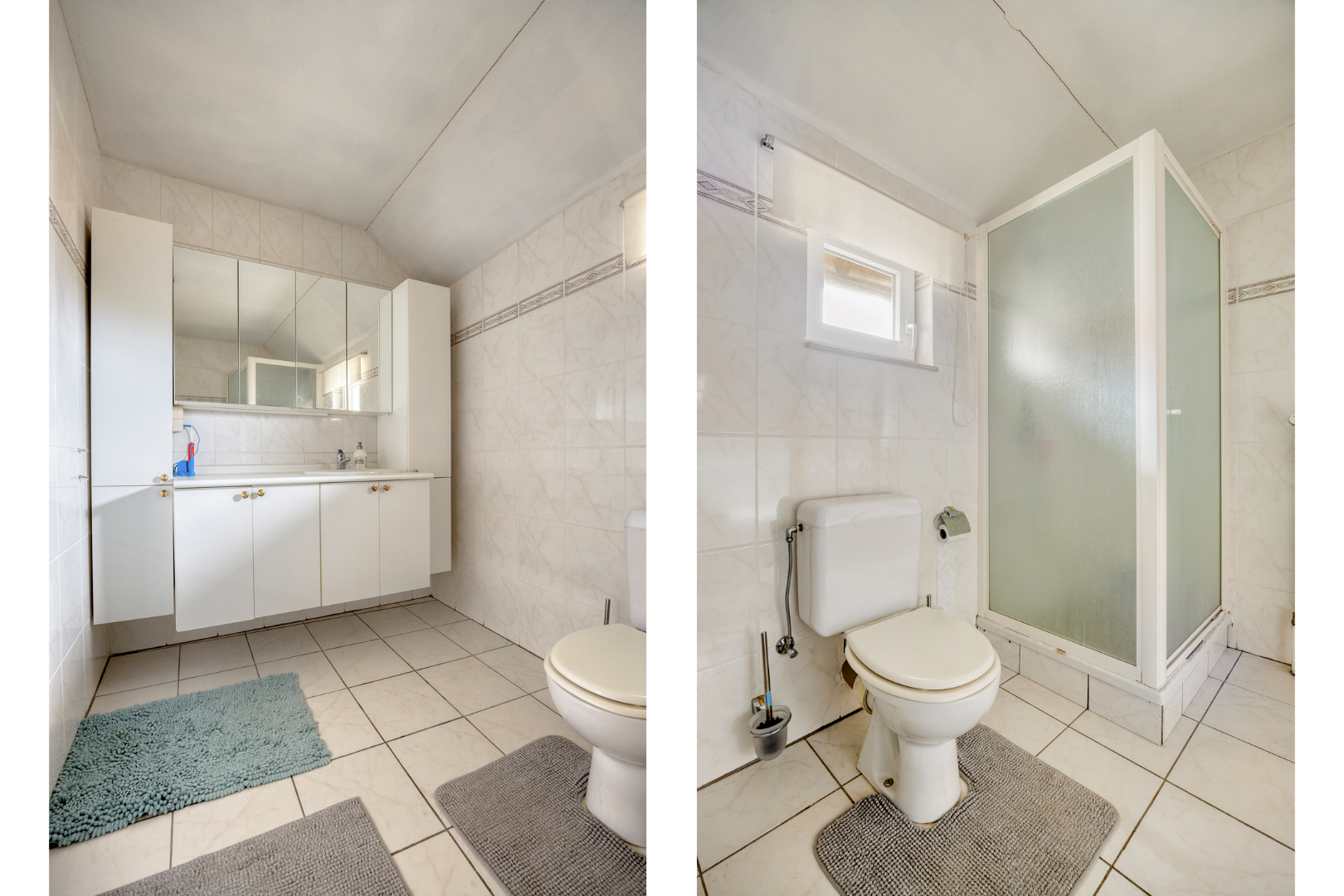 Badkamer met douche en toilet