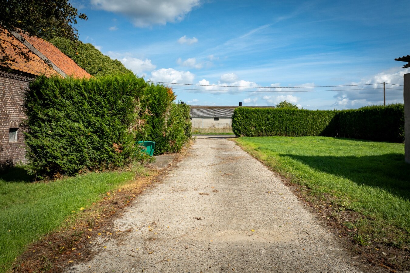 Hoeve met stalgebouwen op ca. 1ha te Bree 