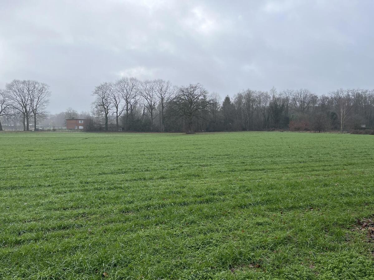 Weiland verkocht in Lummen