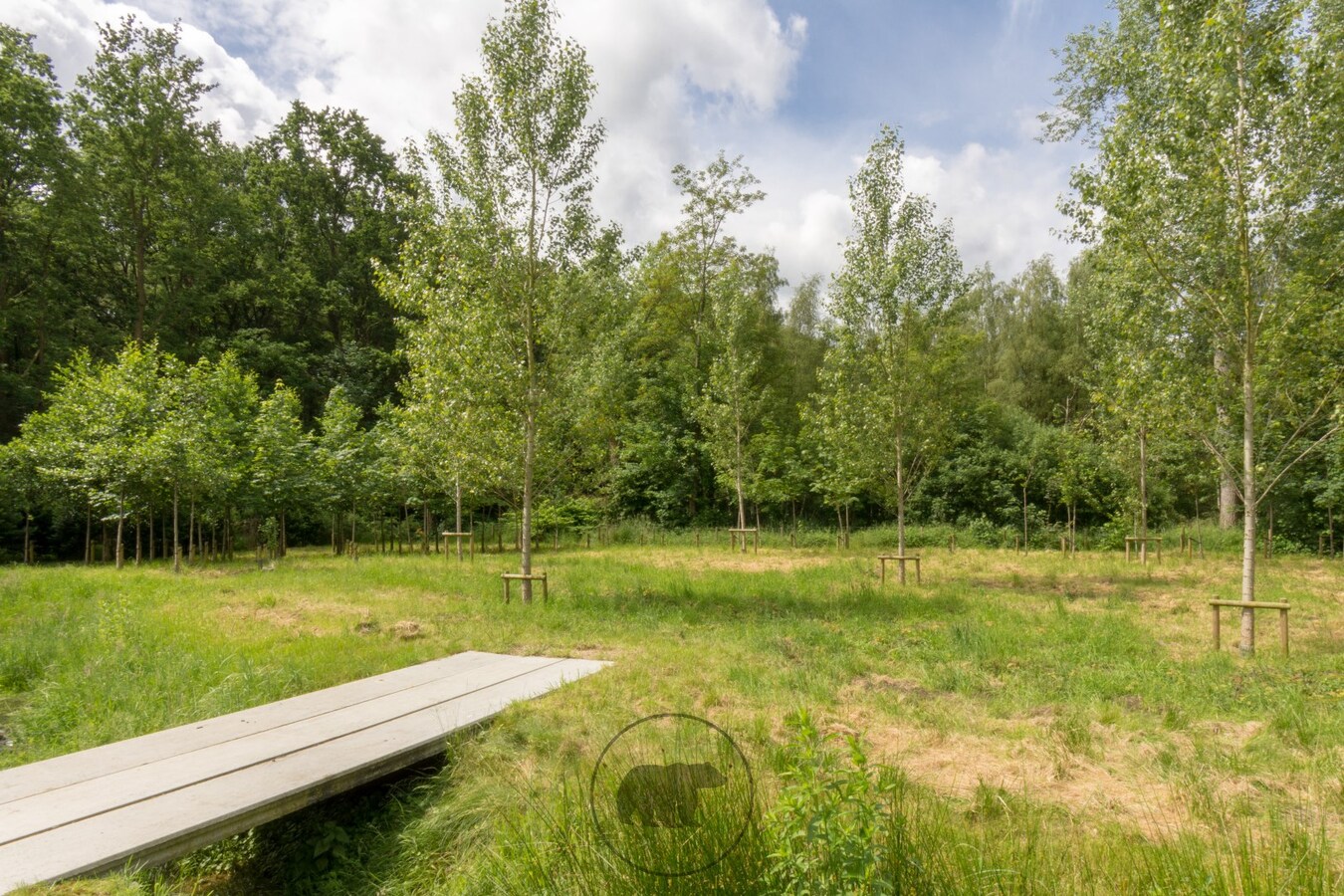 Exclusieve villa op droomlocatie te Heusden 