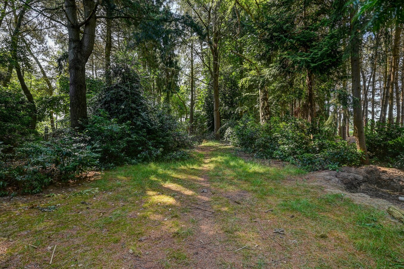 Zeer goed onderhouden woning gelegen op een prachtig perceel van circa 30 are 