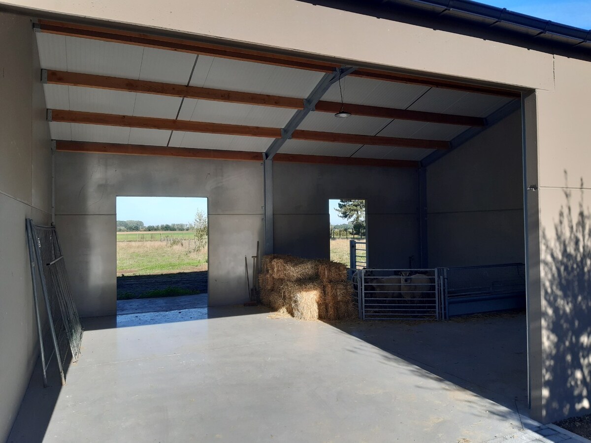 Gerenoveerde woning met weide en loods. 