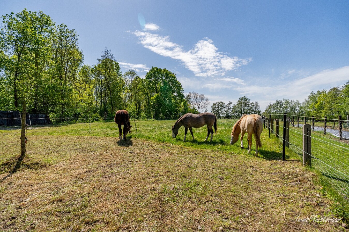 Charmante villa avec bâtiment d'écurie et prairie sur environ 6 700 m² à Hamme. 