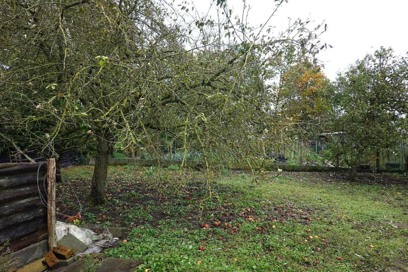 Ruime alleenstaande woning met uitstekende ligging te Ichtegem 