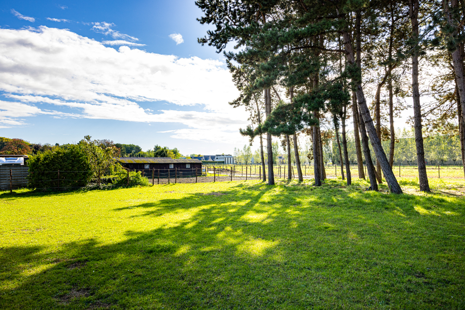 Energiezuinige woning op 6.229 m² met 4 slpks én ideaal voor paardenliefhebbers te Adegem 
