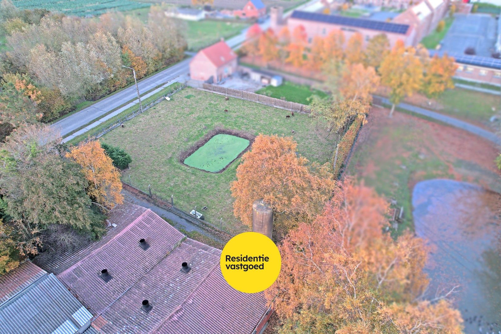 Te renoveren boerderij op een perceel van 7.066m² met loods en diverse bijgebouwen 