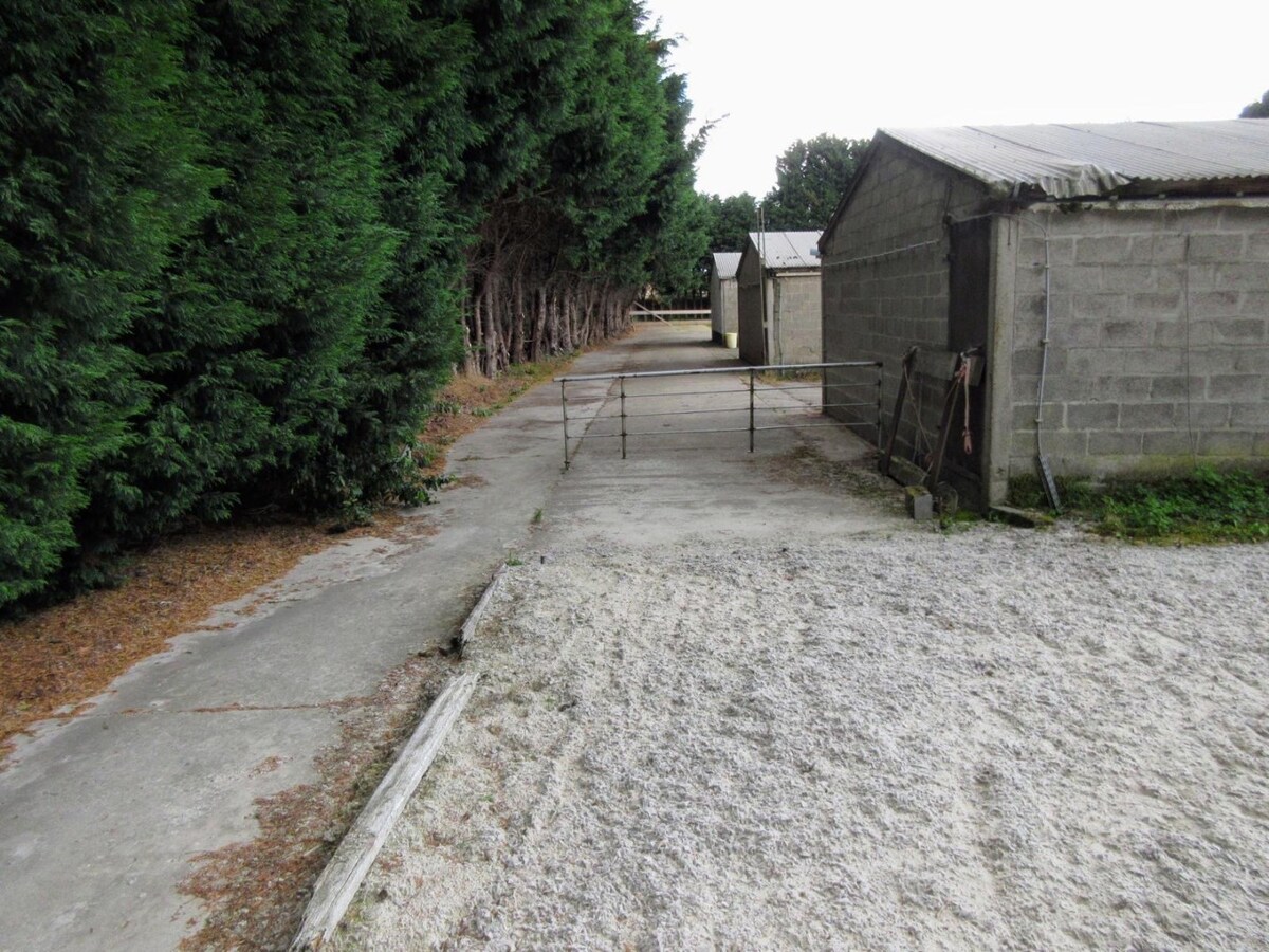 Paardenaccommodatie met 46 stallen, buitenpiste en hangaar op ca. 55 are te Linkhout (Lummen) 