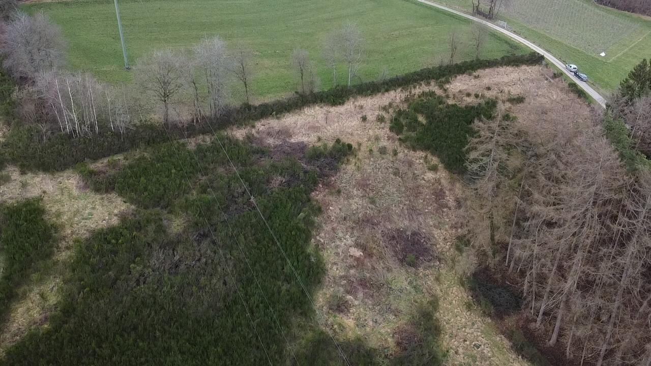 Perceel van 4ha gelegen in agrarische zone 