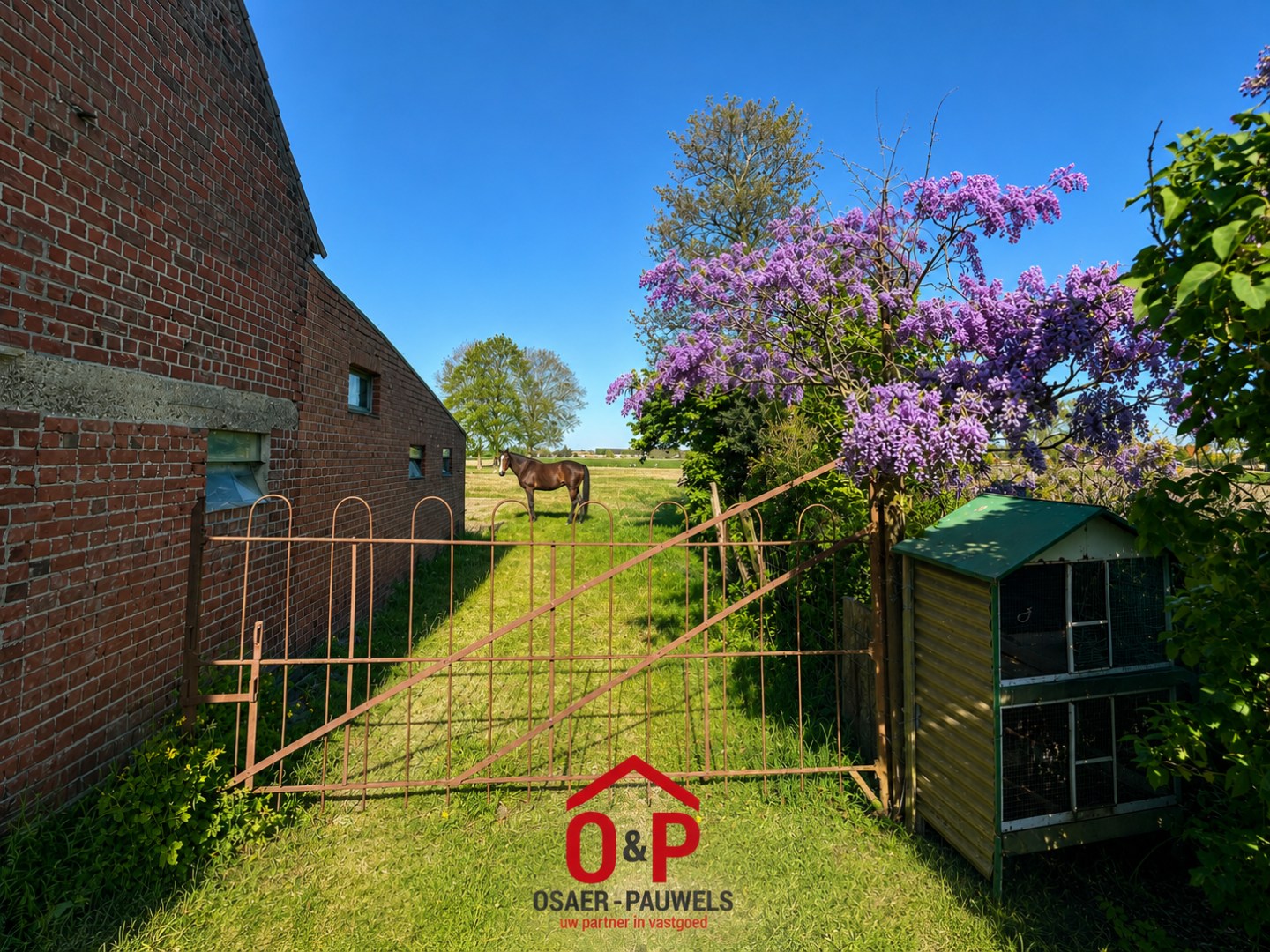 Landelijke hoeve-woning op ruim perceel, met weide en stallingen. 