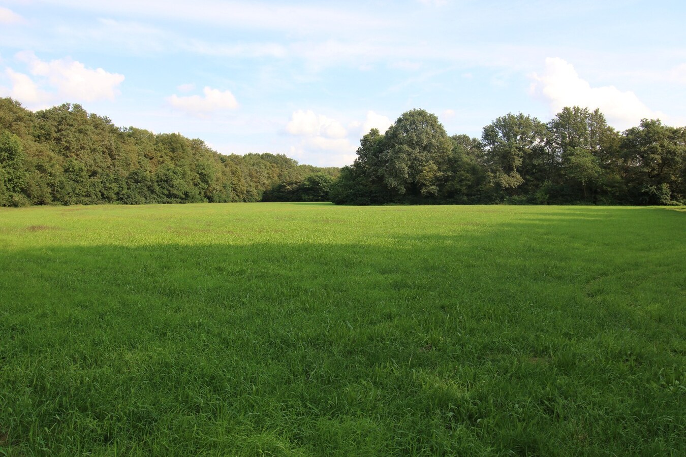 Wonen in absolute rust 