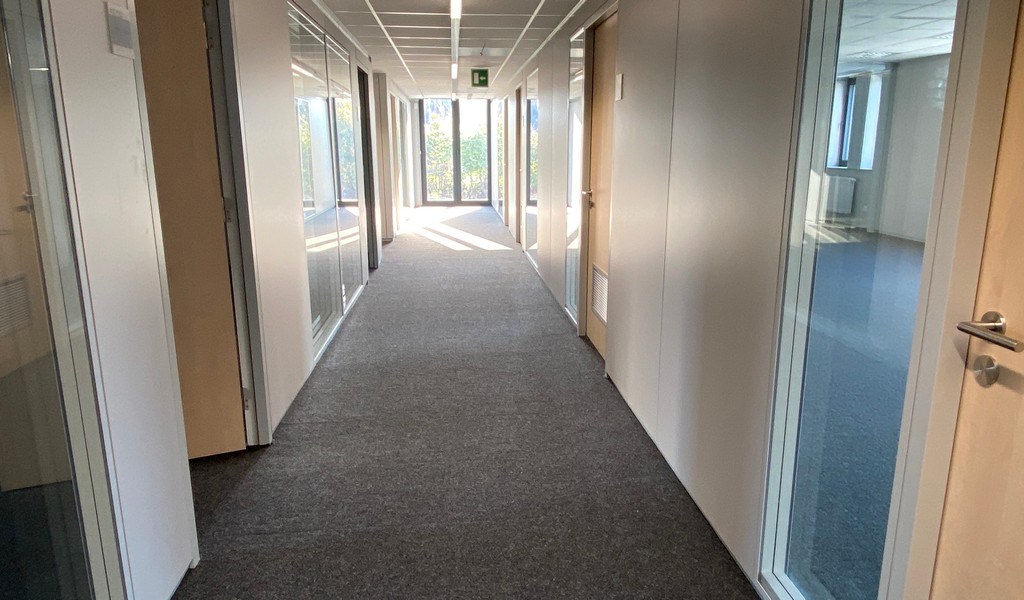 Volledig vernieuwde kantoren te huur in Zwijnaarde