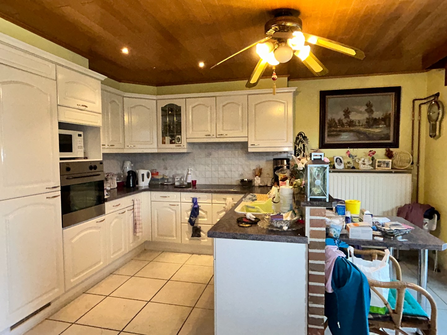 Degelijke alleenstaande woning met twee garages en tuin op 788m² 