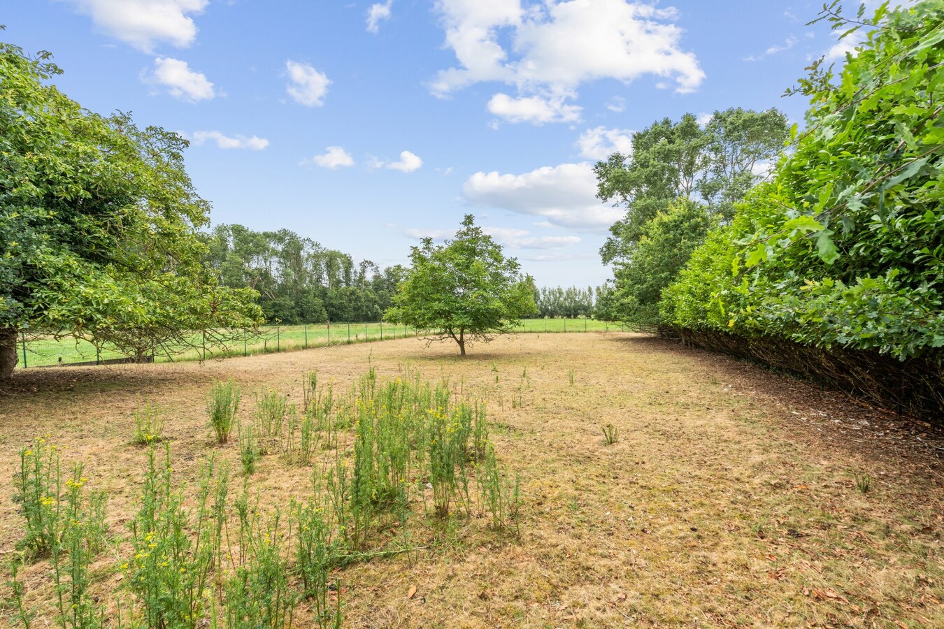 Veelzijdige bedrijfssite (4.082 m²) met 850 m² magazijn 