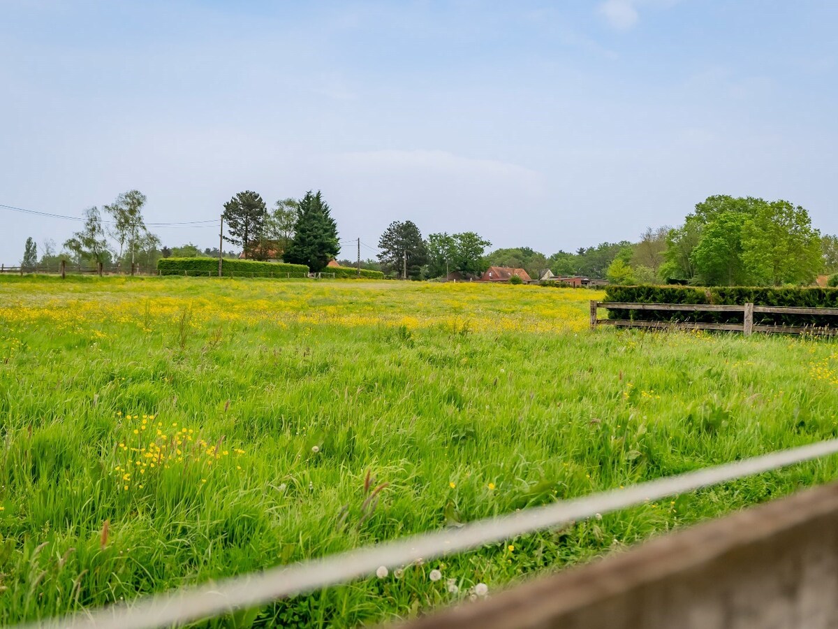Prachtig hippische accomodatie op ca. 5,2 ha te Herselt 