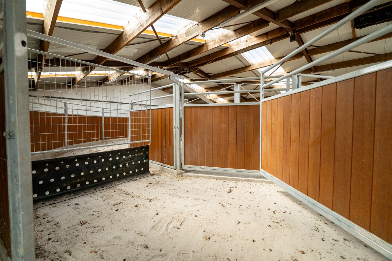 Prachtig hippische accomodatie op ca. 5,2 ha te Herselt 